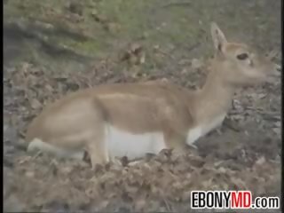 Negrita llamada chica pandilla golpeado en la selva